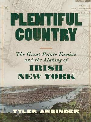 cover image of Plentiful Country